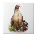 Search for chicken tiles Vintage