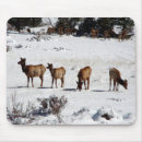 Search for elk mousepads Animal