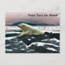 Search for melting postcards Polar bear