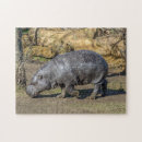 Search for hippo puzzles Zoo