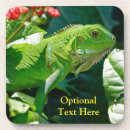 Search for lizard coasters Tropical