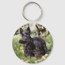 Search for scotty rounded key rings Cute