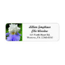 Search for bearded iris cards invites Floral