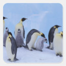 Search for antarctica stickers Coast