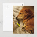 Search for smiling postcards Dog