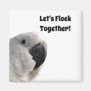 Search for friendship magnets Best friends