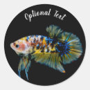Search for betta stickers Pet