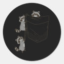 Search for raccoon stickers Outdoors