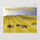Search for yellowstone postcards Landscape