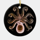 Search for octopus christmas tree decorations Squid