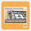 Search for balcony stickers I can has cheezburger