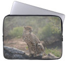 Search for spot photography Animals