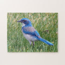 Search for pretty puzzles Bird