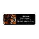 Search for tiger return address labels Black