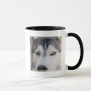 Search for alaskan malamute mugs Siberian husky