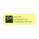 Search for tiger swallowtail return address labels Nature