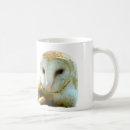 Search for barn owls mugs Birds of prey