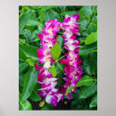 Search for dendrobium Botanical