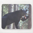 Search for bearings mousepads Black bear