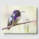 Search for hummingbird guest books Wildlife