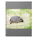 Search for hedgehog notebooks Nature