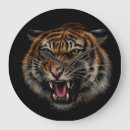 Search for roar clocks Leopard