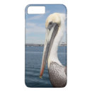 Search for pelican bird iphone cases Wildlife