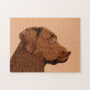 Search for chocolate labrador puzzles Retriever