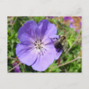 Search for bumble postcards Purple