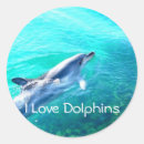 Search for dolphin images stickers Sea