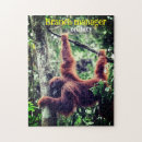 Search for orangutan puzzles Wildlife