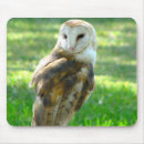 Search for barn owls mousepads Birds of prey