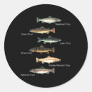 Search for tackle stickers Animal