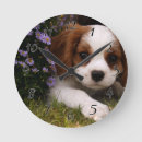 Search for cavalier king charles spaniel clocks Puppy