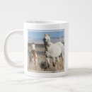 Search for mare mugs Wild horse