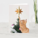 Search for tabby christmas cards Xmas
