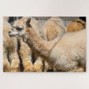 Search for alpaca puzzles Farm