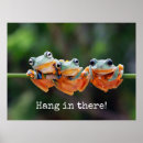 Search for green tree frog posters Cute