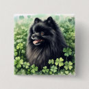 Search for green dog badges St patricks day