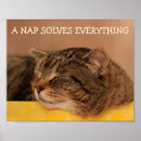 Search for funny kitty cat posters Inspirational