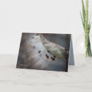 Search for seed birthday cards Happy