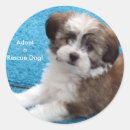 Search for animal cruelty stickers Rescue