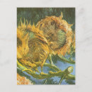 Search for vintage floral still life postcards Nature