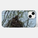 Search for bald eagle cases Wild life