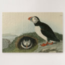Search for audubon birds puzzles Illustration