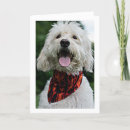 Search for breeders cards Veterinarian