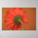 Search for gerber art Flowers