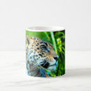 Search for jaguars mugs Wildlife