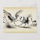 Search for courtship cards invites Wildlife