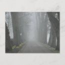 Search for foggy postcards Nature